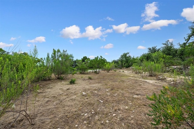 10707 Indian Scout Trl, Austin, TX 78736 - photo 19