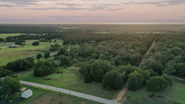 164 Ragtime Ranch Rd, Elgin, TX 78621 - photo 17