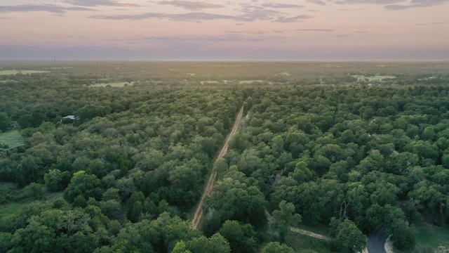 164 Ragtime Ranch Rd, Elgin, TX 78621 - photo 19