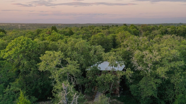 164 Ragtime Ranch Rd, Elgin, TX 78621 - photo 20