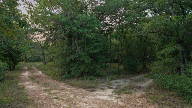 164 Ragtime Ranch Rd, Elgin, TX 78621 - photo 21