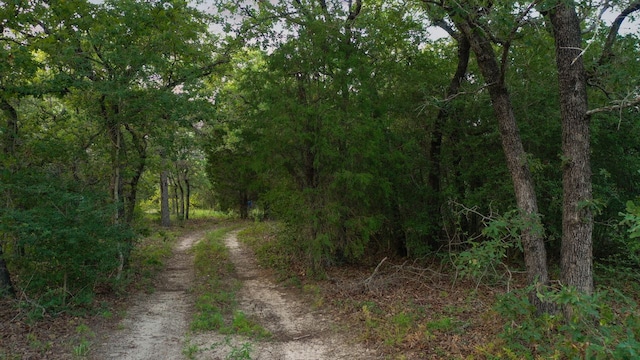 164 Ragtime Ranch Rd, Elgin, TX 78621 - photo 22