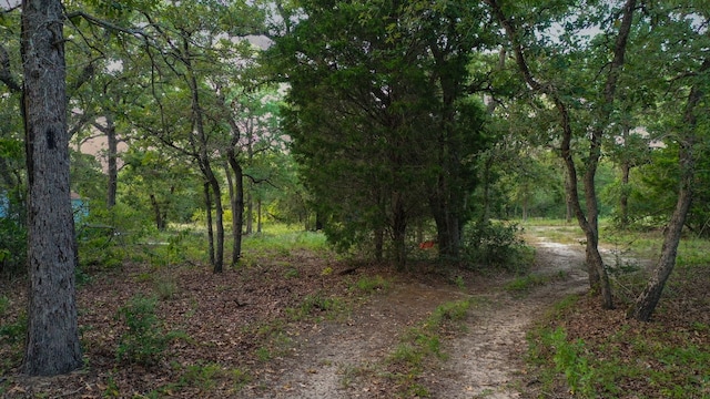 164 Ragtime Ranch Rd, Elgin, TX 78621 - photo 23