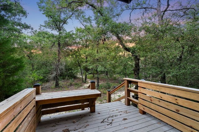 164 Ragtime Ranch Rd, Elgin, TX 78621 - photo 27