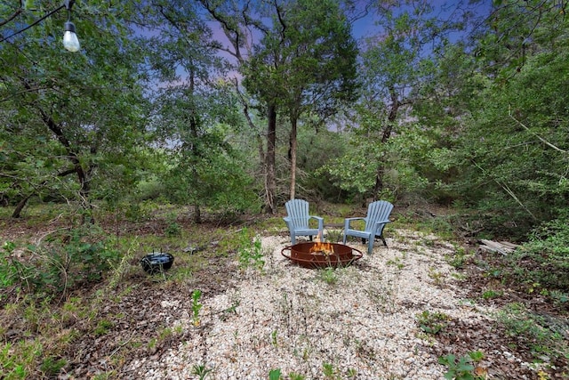 164 Ragtime Ranch Rd, Elgin, TX 78621 - photo 28