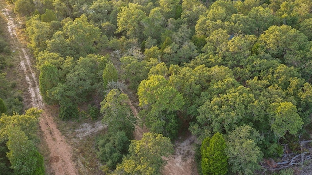 164 Ragtime Ranch Rd, Elgin, TX 78621 - photo 29