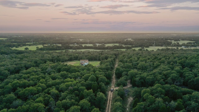 164 Ragtime Ranch Rd, Elgin, TX 78621 - photo 30