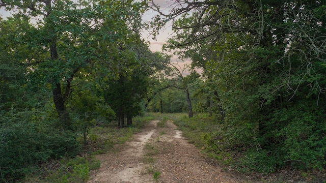 164 Ragtime Ranch Rd, Elgin, TX 78621 - photo 31