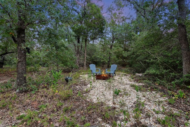 164 Ragtime Ranch Rd, Elgin, TX 78621 - photo 2