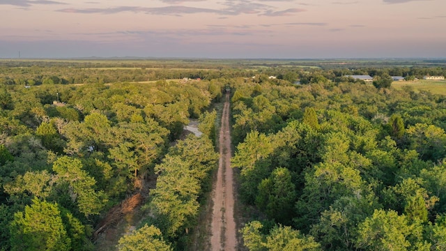 164 Ragtime Ranch Rd, Elgin, TX 78621 - photo 4