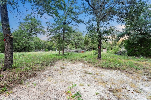 164 Ragtime Ranch Rd, Elgin, TX 78621 - photo 7