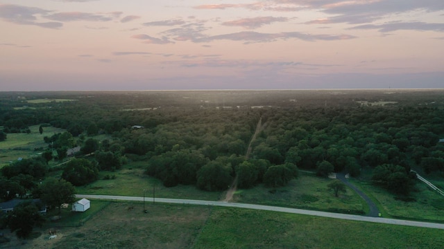 164 Ragtime Ranch Rd, Elgin, TX 78621 - photo 16