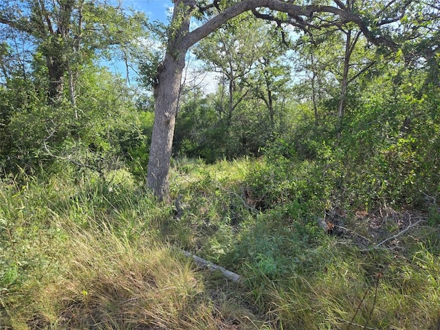 0 Mesquite Dr, Cedar Creek, TX 78612 - photo 1