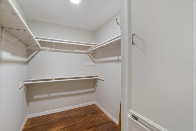 2107 Stone River Dr, Austin, TX 78745 - photo 21