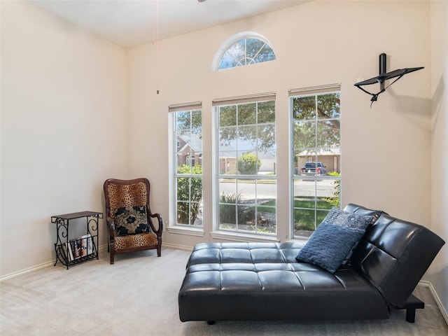 1738 Oak Forest Dr, New Braunfels, TX 78132 - photo 9