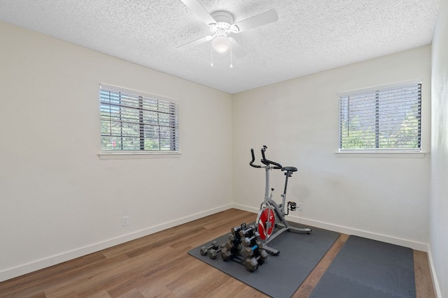 8004 Red Willow Dr, Austin, TX 78736 - photo 22