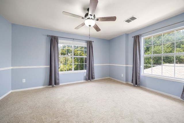 1719 Apache Trl, Round Rock, TX 78665 - photo 31