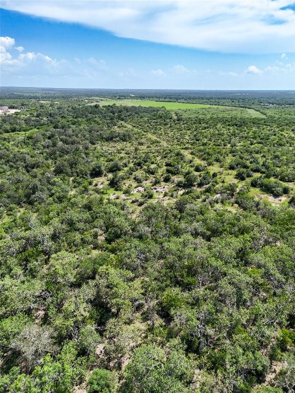 LOT11 County Road 211, Smiley, TX 78159 - photo 13
