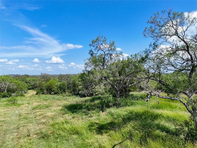 LOT11 County Road 211, Smiley, TX 78159 - photo 15