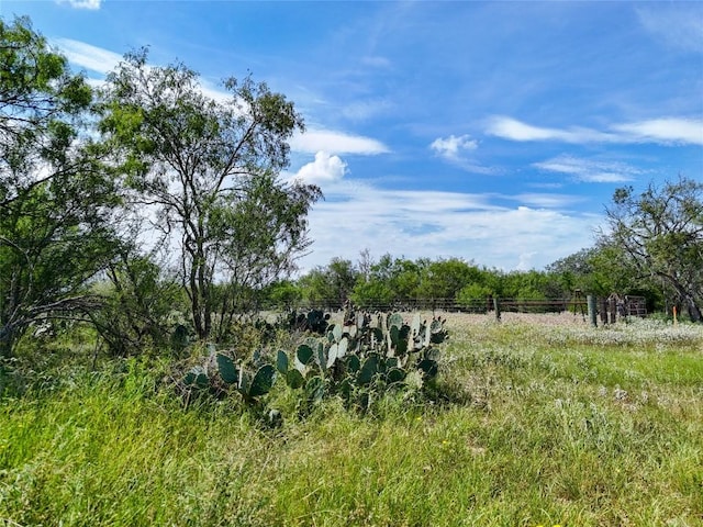 LOT11 County Road 211, Smiley, TX 78159 - photo 16