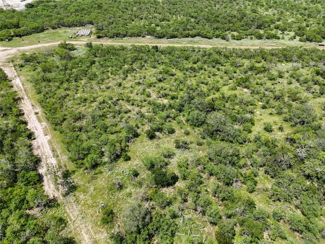 LOT11 County Road 211, Smiley, TX 78159 - photo 7