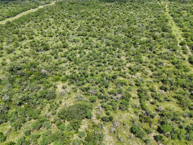 LOT11 County Road 211, Smiley, TX 78159 - photo 8