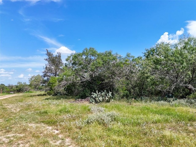 LOT11 County Road 211, Smiley, TX 78159 - photo 18