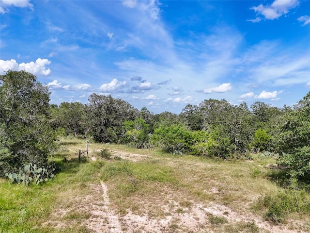 LOT11 County Road 211, Smiley, TX 78159 - photo 21
