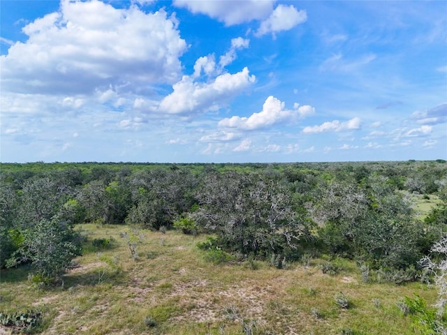 LOT11 County Road 211, Smiley, TX 78159 - photo 24