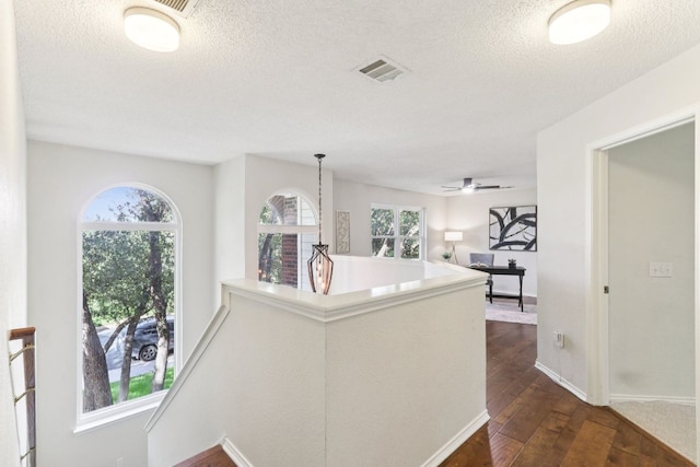 6607 Haswell Ln, Austin, TX 78749 - photo 22