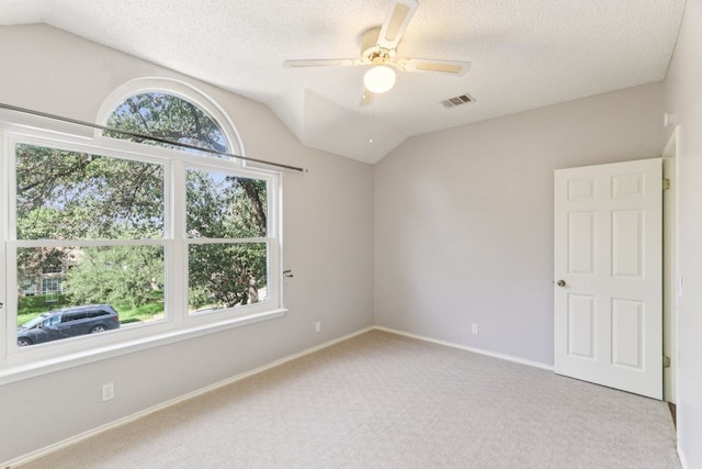 6607 Haswell Ln, Austin, TX 78749 - photo 23