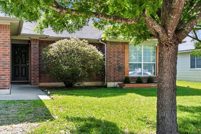 1107 Blewett Dr, Hutto, TX 78634 - photo 10