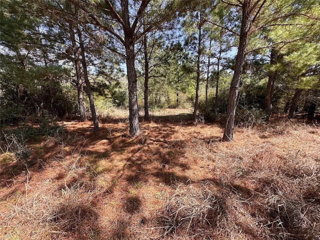 TBD Hula Ln, Bastrop, TX 78602 - photo 1