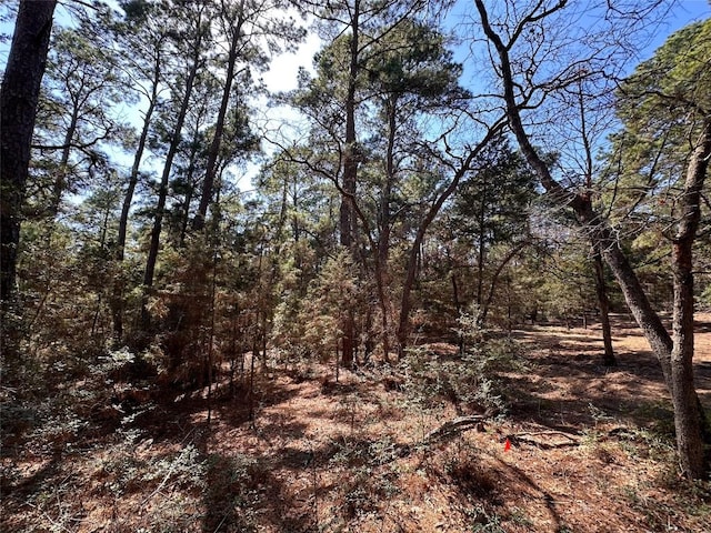 TBD Hula Ln, Bastrop, TX 78602 - photo 4