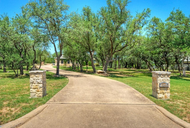 12225 Triple Creek Cir, Dripping Springs, TX 78620 - photo 3