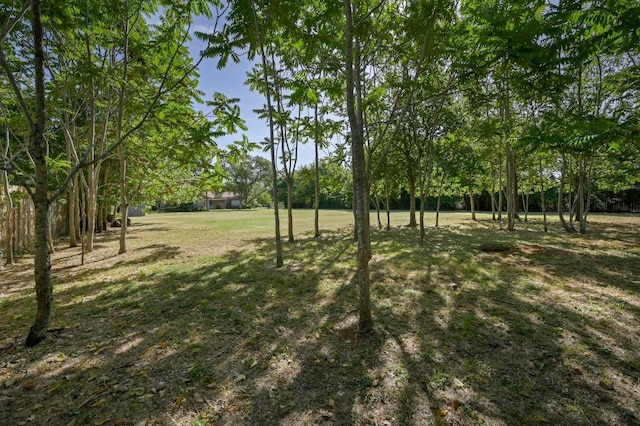 2202 Dawn Dr, Georgetown, TX 78628 - photo 37
