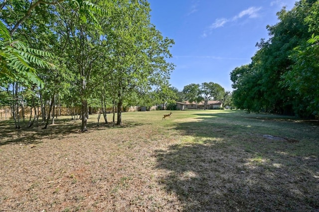 2202 Dawn Dr, Georgetown, TX 78628 - photo 39