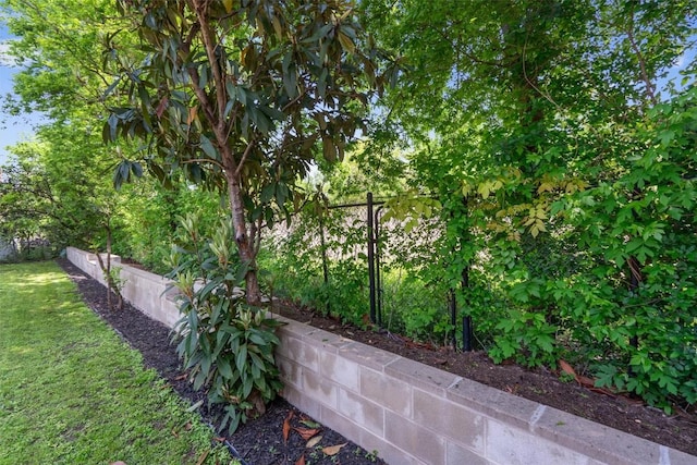 3005 Leaning Oak Cir, Austin, TX 78704 - photo 33