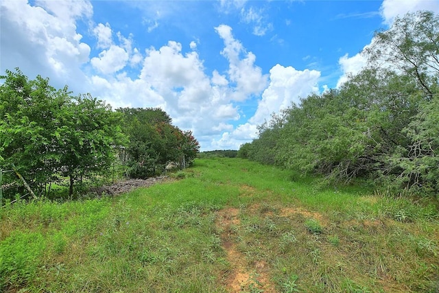 TBD E Whitworth Ln E, Bastrop, TX 78602 - photo 2