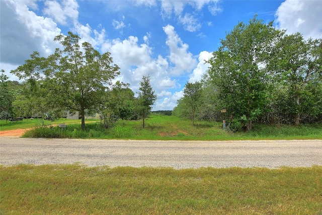 TBD E Whitworth Ln E, Bastrop, TX 78602 - photo 24