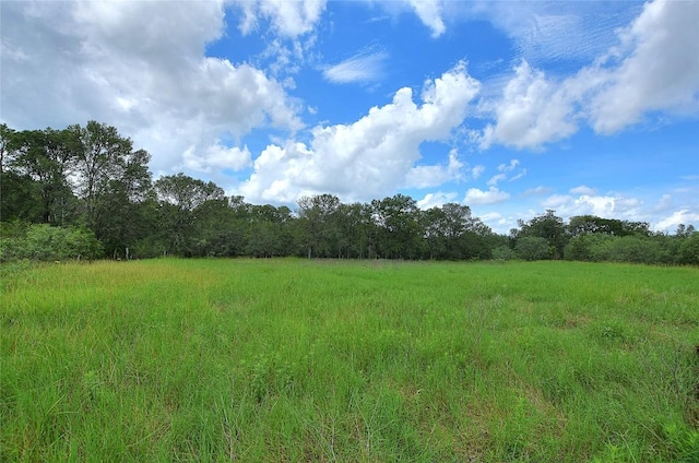 TBD E Whitworth Ln E, Bastrop, TX 78602 - photo 5