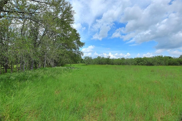TBD E Whitworth Ln E, Bastrop, TX 78602 - photo 6
