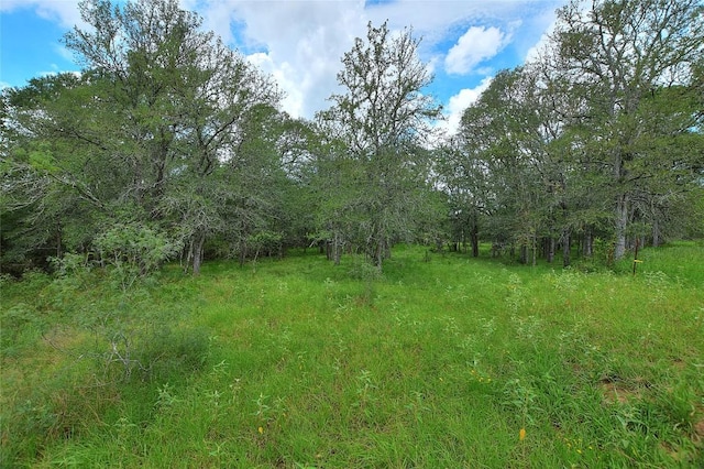 TBD E Whitworth Ln E, Bastrop, TX 78602 - photo 7