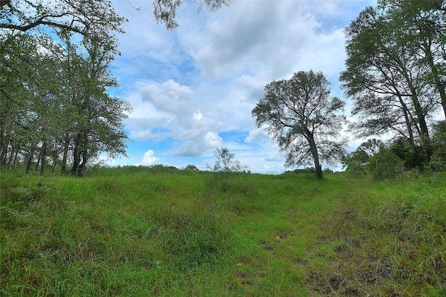 TBD E Whitworth Ln E, Bastrop, TX 78602 - photo 8