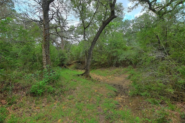 TBD E Whitworth Ln E, Bastrop, TX 78602 - photo 9