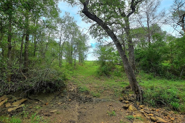 TBD E Whitworth Ln E, Bastrop, TX 78602 - photo 10