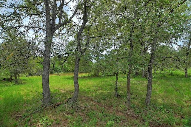 TBD E Whitworth Ln E, Bastrop, TX 78602 - photo 12