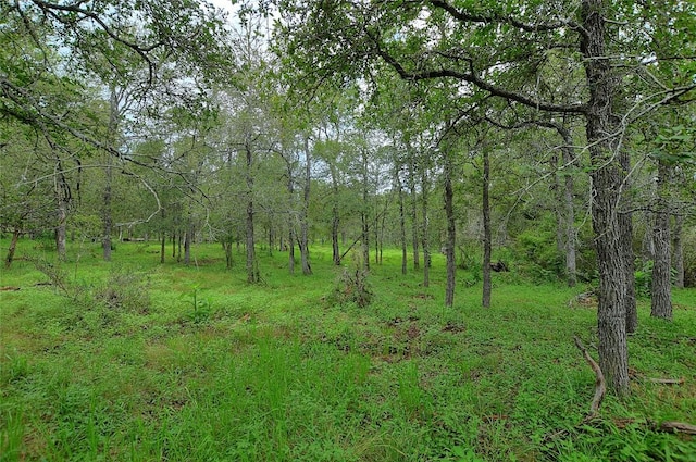 TBD E Whitworth Ln E, Bastrop, TX 78602 - photo 13