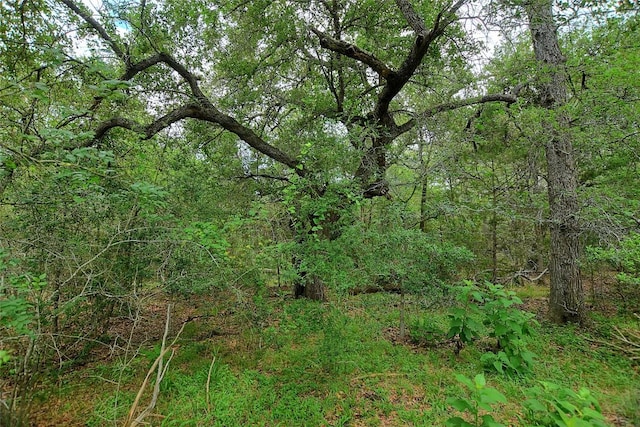 TBD E Whitworth Ln E, Bastrop, TX 78602 - photo 14
