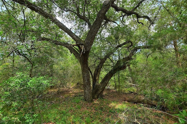 TBD E Whitworth Ln E, Bastrop, TX 78602 - photo 15